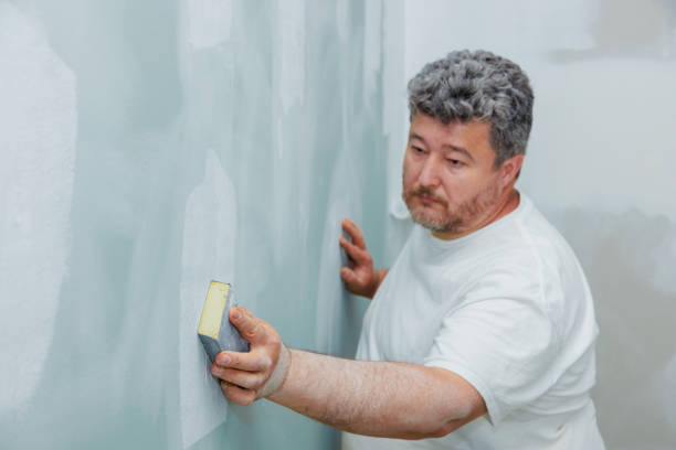 Best Black Mold Removal  in Seatac, WA